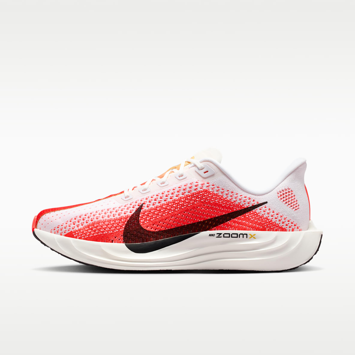 Nike Pegasus Plus Men's Road Running Shoes